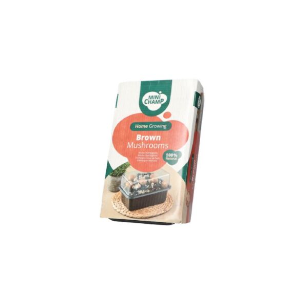 Mini Champ - Champignon Brun