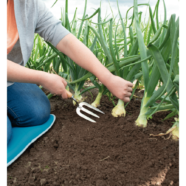 SOGO - Plantegaffel - Image 2