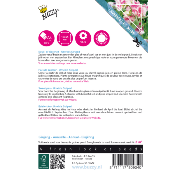 Ærteblomst - Unwin's Striped - Image 2