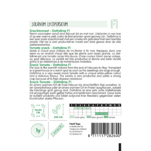 Tomat - Dattolime F1 - Image 2