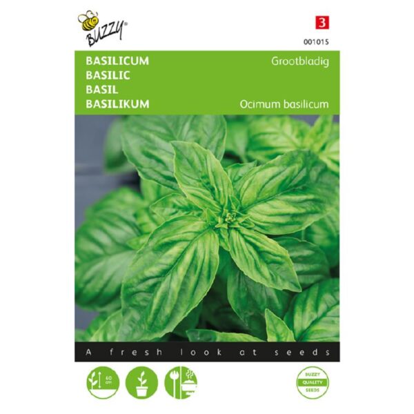 Basilikum - Storbladet