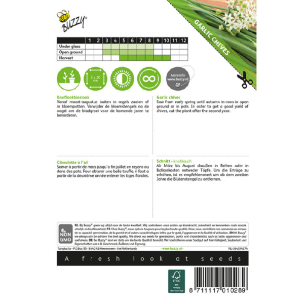 Hvidløgs Purløg - Allium Tuberosum - Image 2