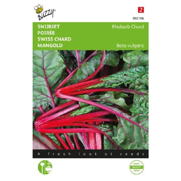 Bladbede - Rhubarb Chard - Beta vulgaris