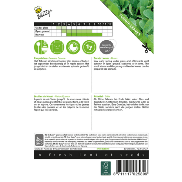 Majroe Blade - Brassica Rapa - Image 2