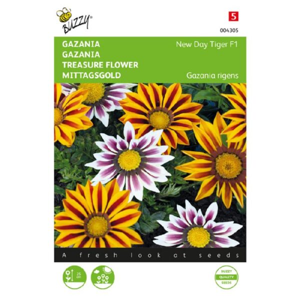 Gazania - New Day Tiger F1