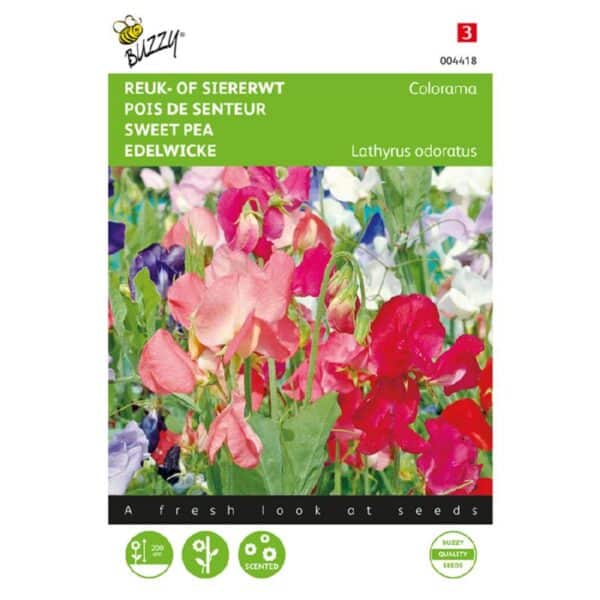 Ærteblomst - Colorama