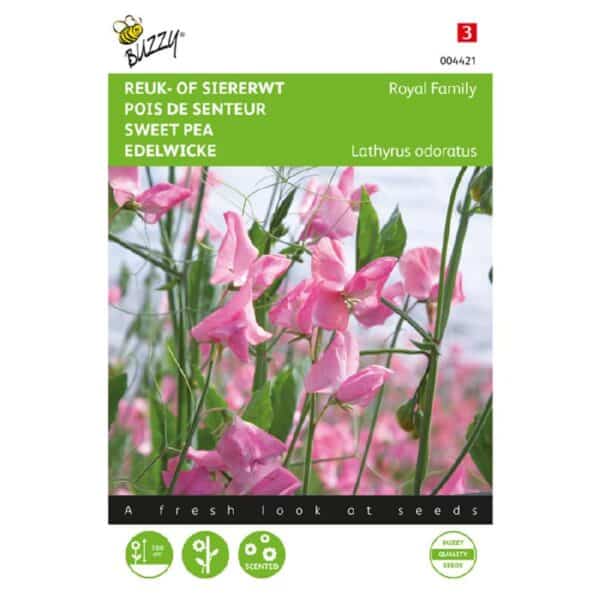 Ærteblomst - Royal Family Pink