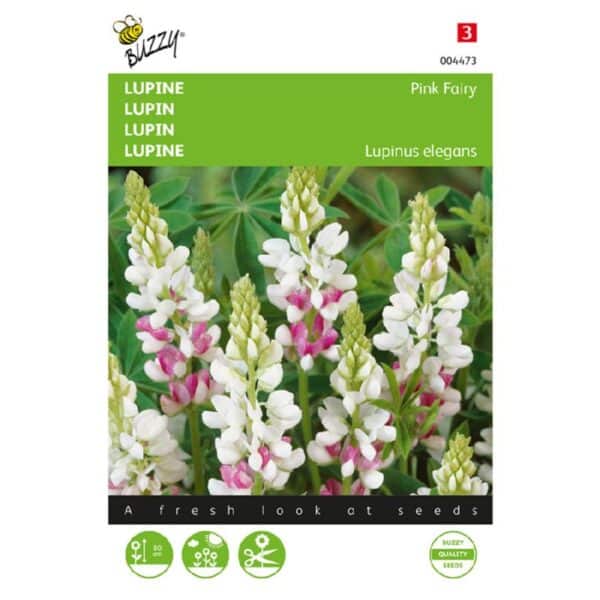 Lupin - Pink Fairy