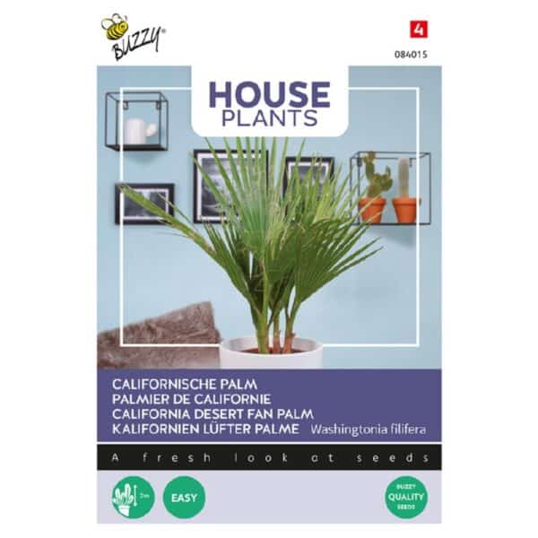 Californisk Palme - Washingtoria filifera