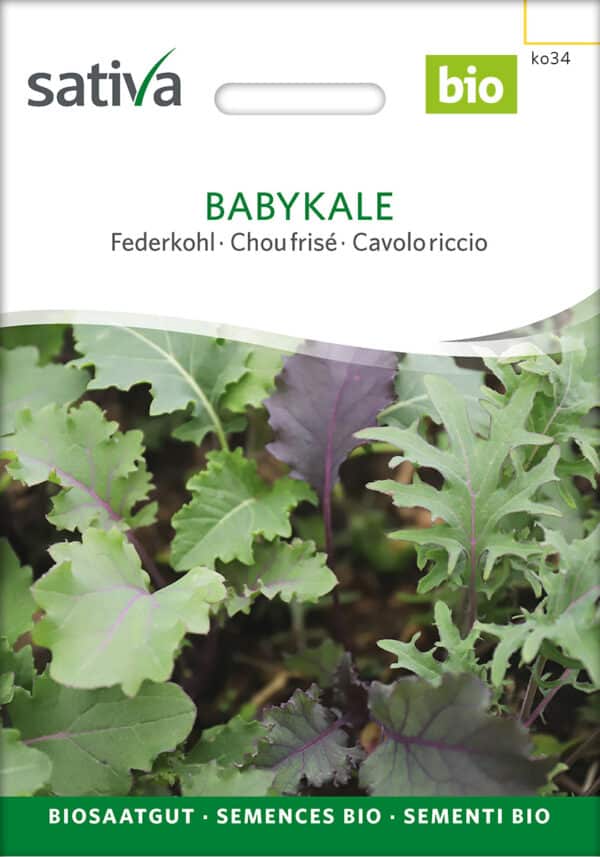 Asiatisk kål - Babykale - ØKO