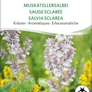 Broget Salvie - Salvia sclarea - ØKO