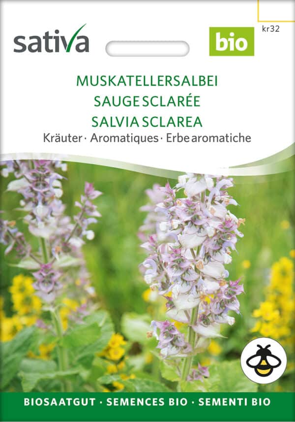 Broget Salvie - Salvia sclarea - ØKO