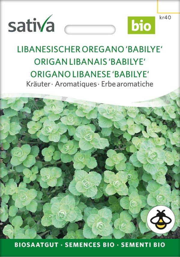 Basilikum - Babilye - ØKO
