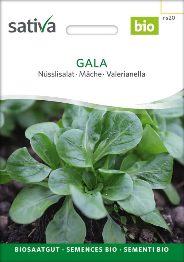 Feldsalat - Gala - ØKO