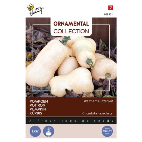 Græskar - Waltham Butternut