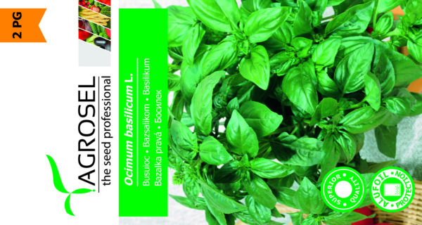 Basilikum - Ocimum Basilicum L. - Image 2