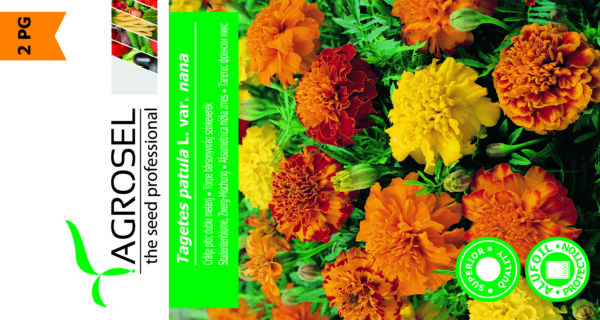 Fløjelsblomst - Tagetes Patula
