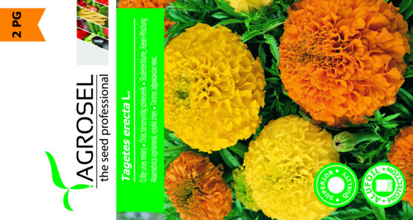 Tagetes Erecta - Image 2