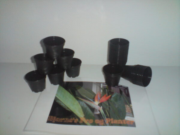 Planteskolepotter 6 cm - 50 stk - Image 2