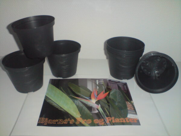 Planteskolepotter 8 cm - Image 2