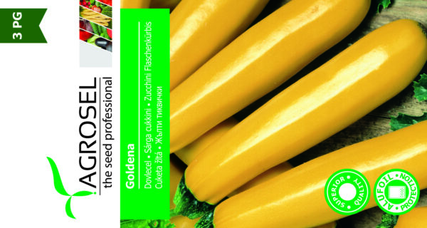 Squash - Goldena - mellem pk.