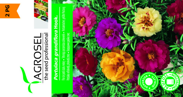 Solportulac - Portulaca grandiflora