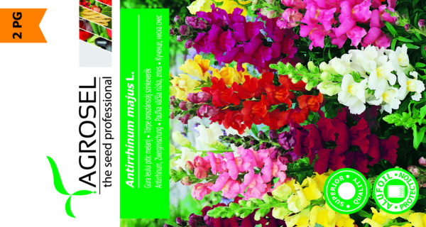 Løvemund Mix - Antirrhinum Majus