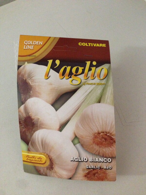 Hvidløg Aglio Bianco Veneto