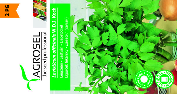 Løvstikke - Levisticum Officinale WDJ Kock - mellem