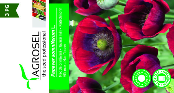 Rød Kæmpevalmue - Papaver Somniferum