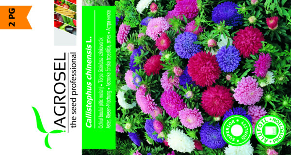 Asters - Callistephus Chinensis - Mix