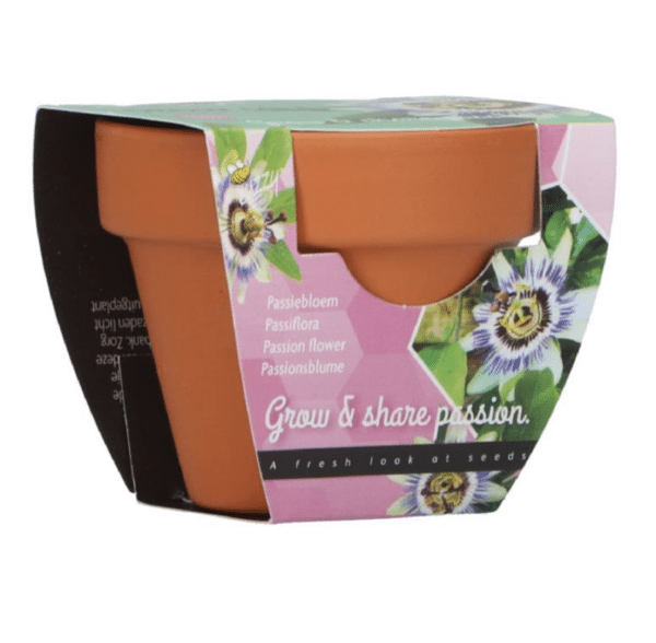 En gro gave - Passionsblomst