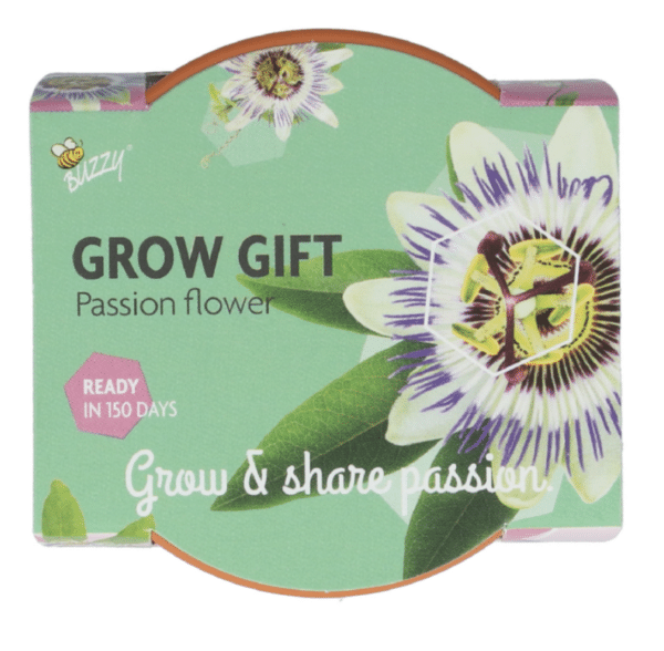En gro gave - Passionsblomst - Image 2