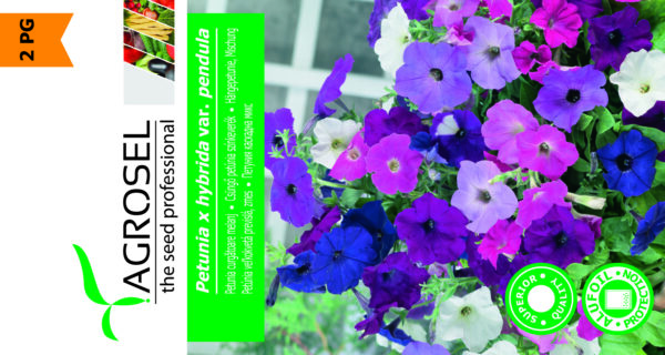 Petunia Hænge - Petunia x hybrida Pendula - PG2 - Image 2