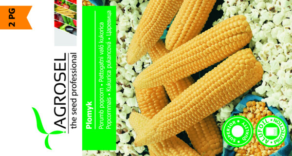 Majs Popcorn - Plomyk