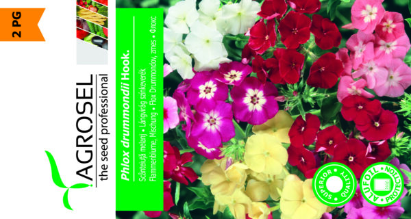 Sommer Floks, blandede farver - Phlox Drummondii