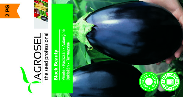 Aubergine - Black Beauty
