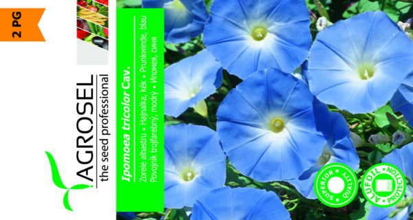 Heavenly Blue - Ipomoea Tricolor