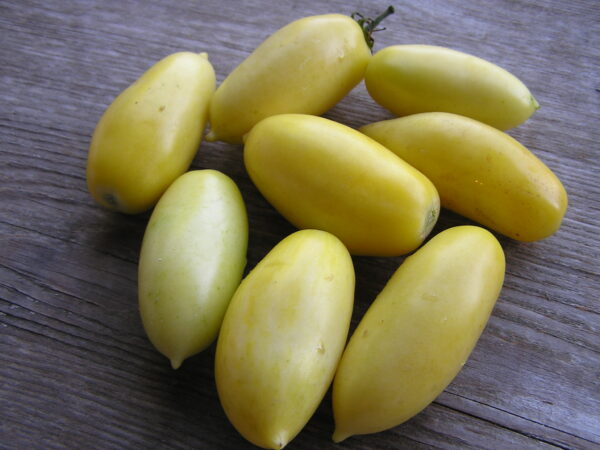 Cream Sausage - Tomat - Image 2