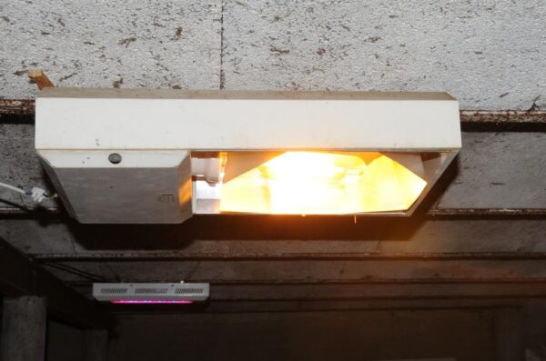 Proffessionel Væksthuslampe HPS 400W