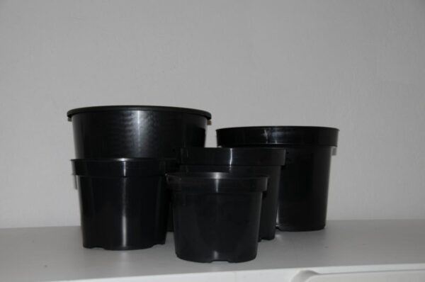 Planteskolepotte - 2L - Image 2