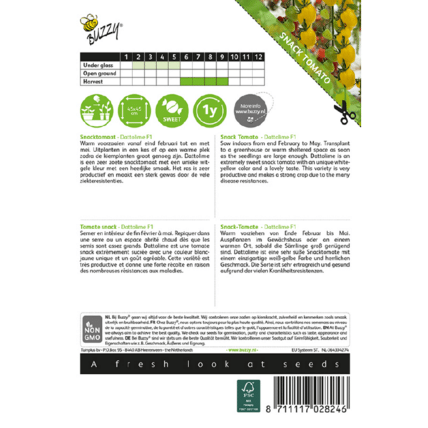 Tomat - Dattolime F1 - Image 2