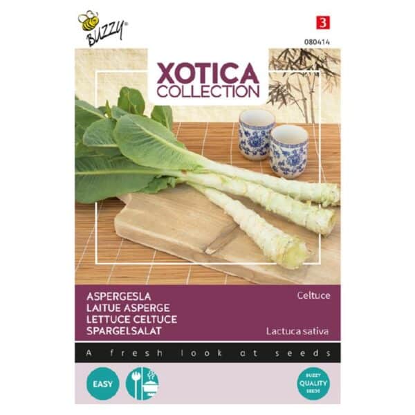 Aspargessalat - Celtuce - Lactuca sativa var. augustana