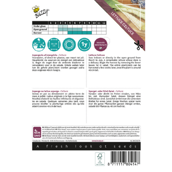 Aspargessalat - Celtuce - Lactuca sativa var. augustana - Image 2