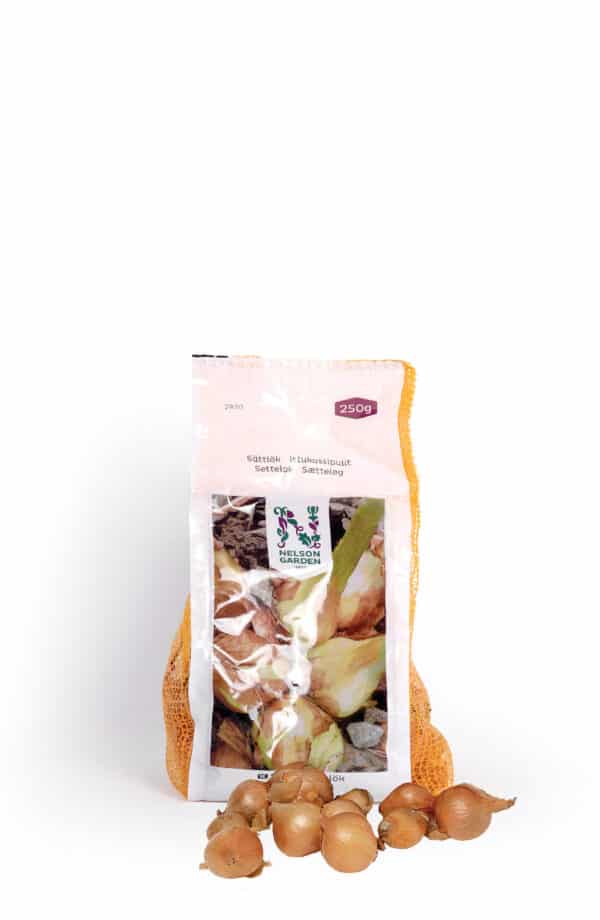 Sætteløg - Skalotte 'Biztro' 250g