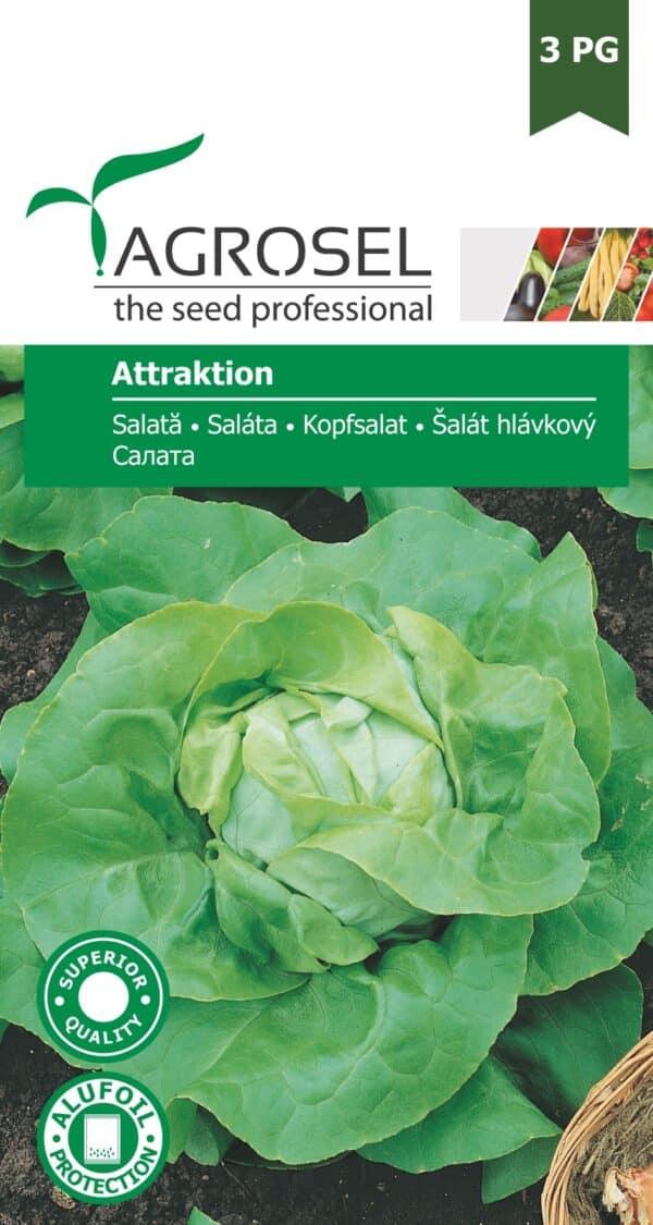 Attraktion Salat - Lille pakke - pg1