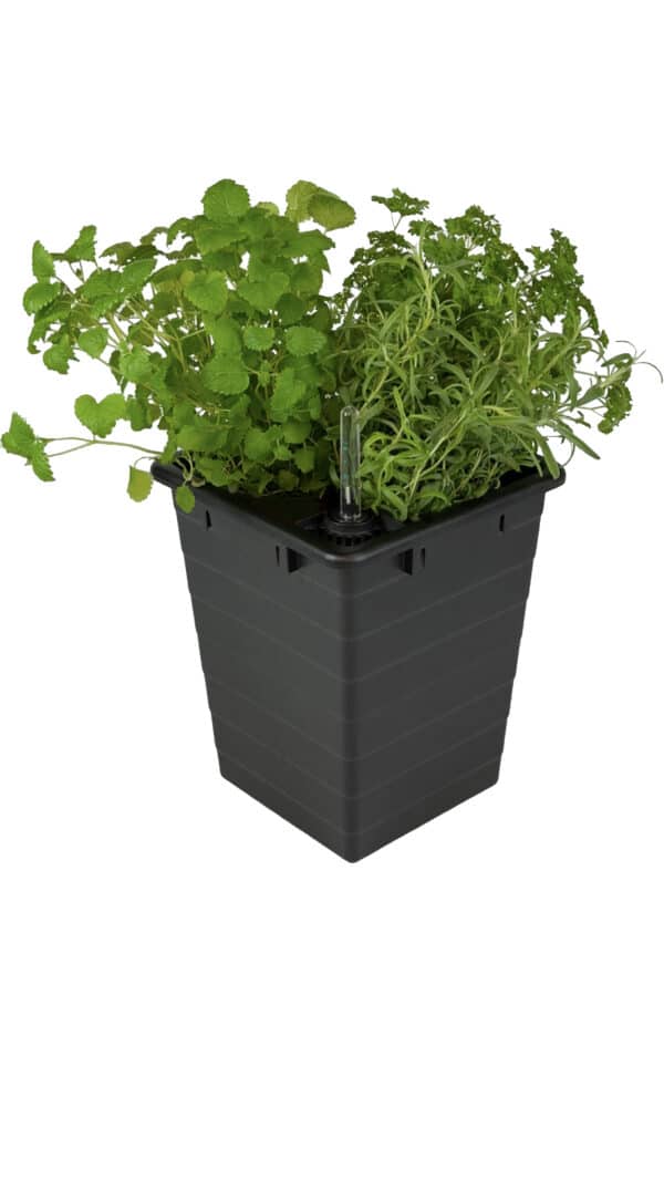 Homefarm - Planter 1 - Selvvandingspotte - Billede 3