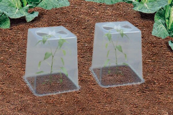 Pottedrivhus - Passer bl.a til QuadGrow potterne - Image 2