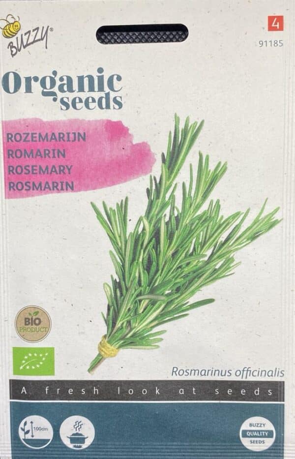 Økologisk romarin - rosmarinus officinalis.