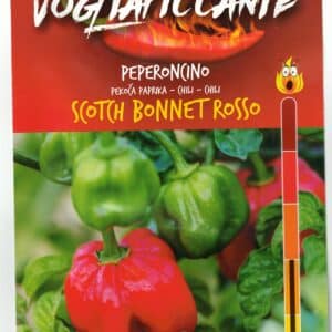 Scotch Bonnet Rosso - C. chinense